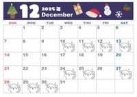 🌟12月予定🌟