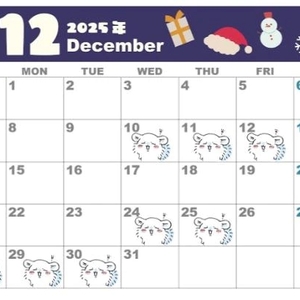 🌟12月予定🌟