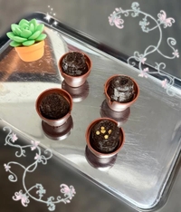 🌵