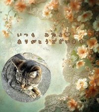 みたよ／シフト