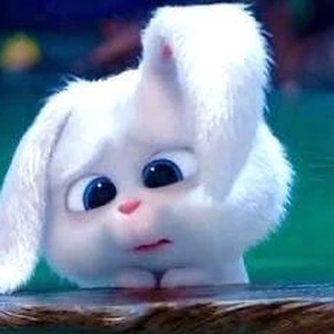 本当にすみません本日お休みします、、😭