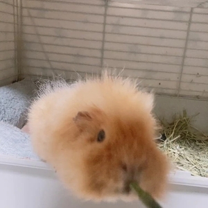 上手👏