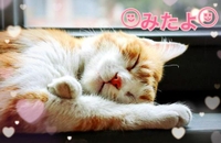 みたよ(*ˊ˘ˋ*)♡