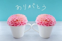感謝です♡Ｙ様へ❤