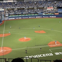 ⚾️
