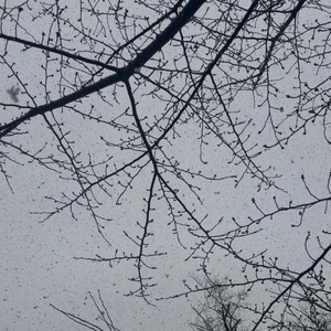 さむいよー☃️