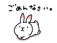 すみません🙇‍♀️