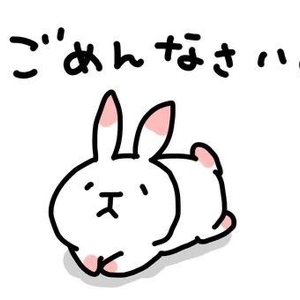 すみません🙇‍♀️