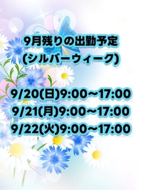 次回の出勤予定