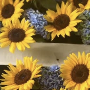 ふわり予定変更