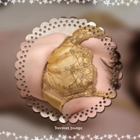 プレミアム❣️