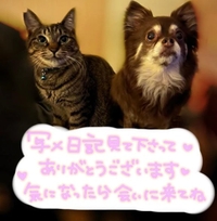 ('ω'≡'ω'≡'ω'≡'ω'≡'ω')ｼｭｼｭｼｭｼｭｯ