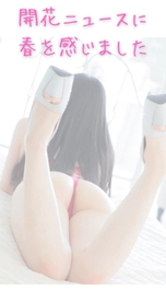 🦋 開花ニュースに春を感じました♡