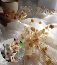 みたよ／シフト