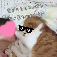 『悪戯っ子め?』完結