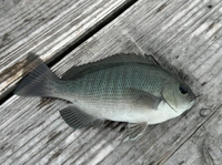 自分の中の「完全勝利な休日の過ごし方」ってどんなの？