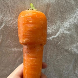 デ○マにんじん🥕ww