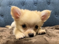 勤怠安定するまで💦