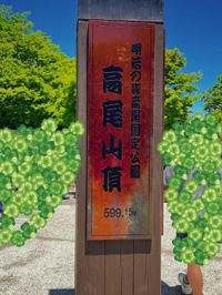 答え合わせ