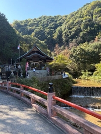 久しぶりの♡