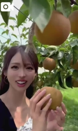 【🎥323】新たな発見💡