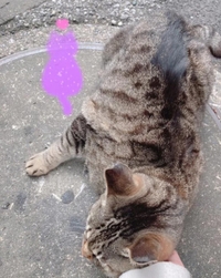 みたよ／シフト