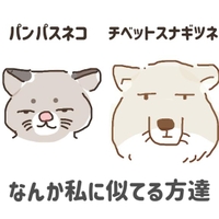 🧊ドパガキ就寝🧊