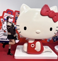 🤍11→12ฅ⸝꙳.⋆