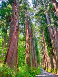 現実からログアウト🌲