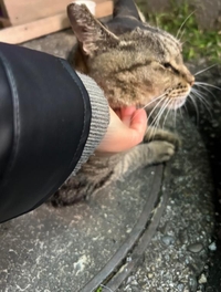 みたよ／シフト