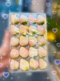 天使の◯◯◯