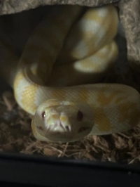 受付終了🙆‍♀️