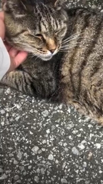 みたよ／シフト