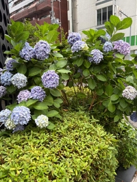 ?６時間ありがと…?