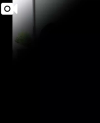 【🎥275】初夏の思い出・続