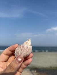 今日もいろはは海の子です