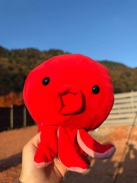 おやすみタコぉ🐙❤️‍🔥⭐️✨