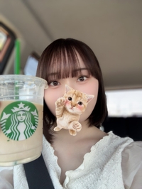 助手席専門卒業したい