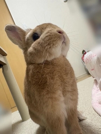 🍼満足度が高いのは🍼
