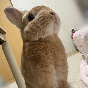 🍼満足度が高いのは🍼