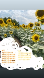 8月9月予定