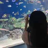 🩵空き枠情報🈳🩵