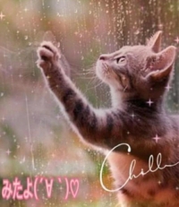 みたよ(*ˊ˘ˋ*)♡