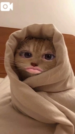 出勤してます！