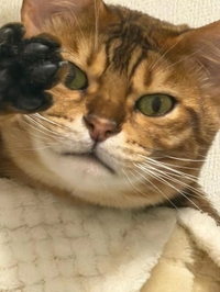 ありがとう💗💗💗