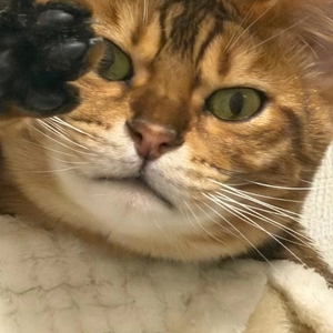 ありがとう💗💗💗