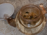 お早う御座います🌸