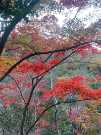 おわっちゃう🥲