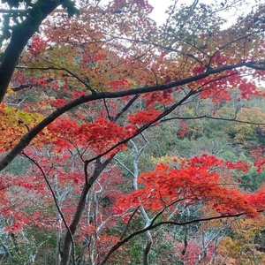 おわっちゃう🥲