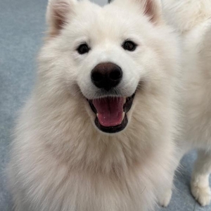 昨日のおでかけ❣️